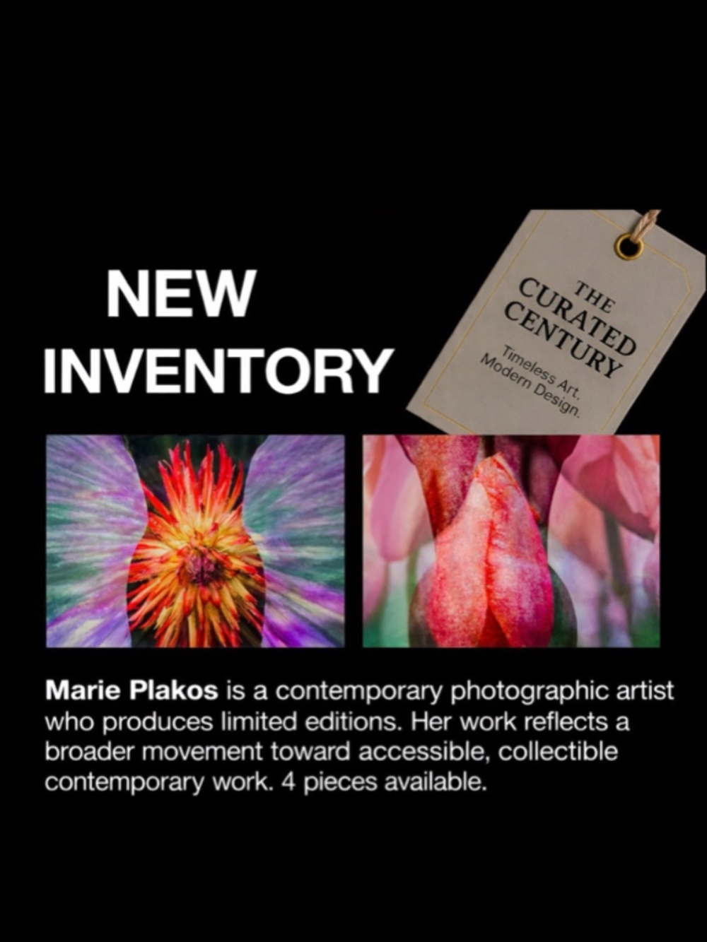 Marie Plakos Original Photographic Collage, Signed, Edition: 1/50, 16" X 16" Fra